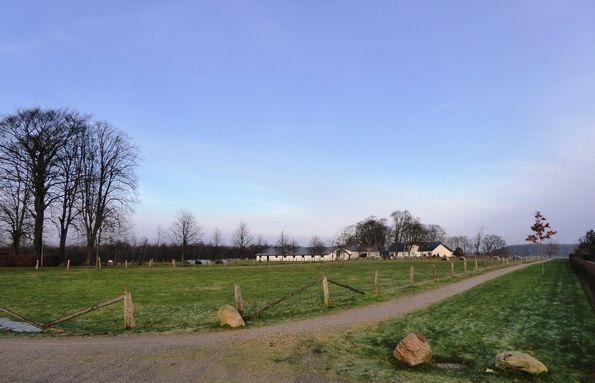 Denne sti har jeg sikkert gået over 1000 gange på. Eller cyklet for fuld fart, over stok og sten, ned til Grønvangs skov, der ses til højre i baggrunden. Der var marker over til Vejen vej. Og da jeg gik der i 5-6 års alderen, med mine forældre, tænkte vi ikke på, at der skulle være huse op til stien. Vi kunne se husene over på Vejen vej. Nu er Rølkjær husene der, og mark  stien er asfalteret. Også  igennem Grønvangs Skov.