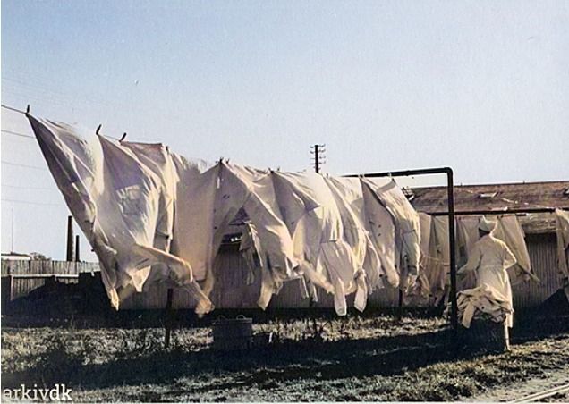 Margarine fabrikken Alfa. Vasketøj på tørresnoren. Årstal 1932.
Et lidt sjovt billede fra Margarine fabrikken i Vestergade. Hvor der samme sted i dag er et stort vaskeri.
Askov Andelsvaskeri var Danmarks første.  Askov Andelsvaskeri startede ca. 1912. Vaskeriet lukkede i 1997 og flyttede til Vestergade i Vejen.