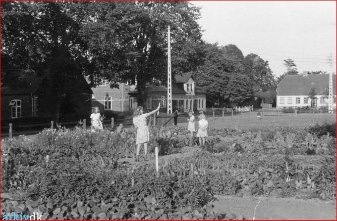 Skolehave i Vejen.
 Børn fra byen havde i perioden 1939- 1944 et stykke jord at dyrke. Leder var: Hans Friis, Solvang 20, Vejen.
Et lidt utrolig billede.
 Vejen gamle Byskole fra 1866   ligger helt til højre. Og A. Schlosser Smedeforretning ligger midt i billedet. Men hvor er gaderne henne. Jeg er af gode grunde ikke så kendt med Vejen Nord, så jeg må heller lade være med at kloge mig, og håber at i der har boet dernede kan fortælle lidt om det.
 Når Vejengensere i dag taler om Byskolen, så er det gerne den tidligere skole på Baungårdsvej, som i dag rummer VUC og Studiescenen, der menes.  
Men Vejen har haft andre Byskoler. Vejens første Byskole lå på hjørnet af Nørregade og Frederiks VII`s  gade. Skolen blev bygget i 1866, men snart viste den sig at være for lille.
I 1884 måtte man opføre endnu en tilbygning ved skolen, og i 1891 kom Bakkely Skole til, og i 1902 blev der bygget en fløj i to etager og i røde sten til den oprindelige Skole fra 1866.
Alle disse nybygninger dækkede dog ikke behovet og i 1908 måtte man til at bygge skoler igen i  Vejen Kommune.
 Siden er Østerbyskolen  fra 1963 bygget.  Og Bakkely  Skole skiftede navn til Grønvangskolen i 2005, hvor skolen blev bygget på ny. Dengang i   træ. Den gamle skole i Søndergade var i mursten. Også cykelskuret.
Hvis Grønvangsskolen skal have en omgang Gori hvert andet år må det være en dyr vedligeholdelse.
