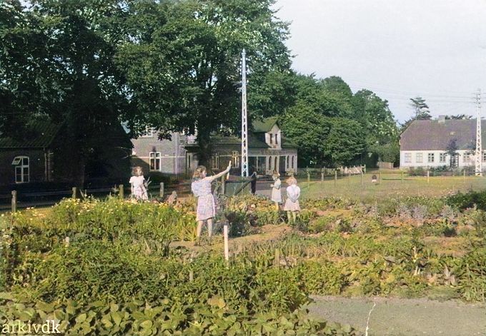 Skolehave i Vejen. Børn fra byen havde i perioden 1939- 1944 et stykke jord at dyrke. Leder var: Hans Friis, Solvang 20, Vejen. Da jeg har været gartner og har haft både grønne fingre og sorte negle synes jeg at dette farvede billede er dejligt at se på.
Ved el masten i midten af billede er det  August Schlossers Smede og Maskinforretning. Og til venstre for smedjen er det Skolegade og ud til venstre er det Baungårdsvej.
Til højre er det Vejen gamle Byskole fra 1866.
Jeg tror ikke at Nørregade er kommet endnu.
Og  Fr. d. 7's Gade kan jeg heller ikke få øje på.
Det var en hel anden tid i 1944 end i dag. 
Grønt er godt for øjnene.