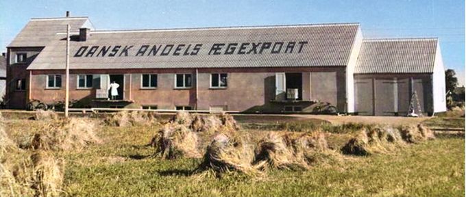 Dansk Andels Ægexport i Ahorngade 11.
Det er lige før at man kan dufte høet.
I første eller anden klasse på Bakkely Skole forlystede vi os med denne. Kan man kaste et æg over et drivhus uden at det går i stykker....