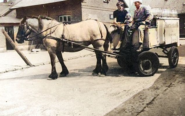 Mælkevogn fra Grønvang Børnemælk. På bukken ses mælkemand Knudsen og sønnen Holger Knudsen.
Nørregade i Vejen. Den vestre side fotograferet fra Korsgade mod syd. I hjørnebutikken, Nørregade 53 lå Grønvangs mælkeudsalg ved 1) Søren Knudsen 2) Svend Vang
Senere drev Rigmor og Svend Vang mælkeudsalget -
- og endnu senere mælkehandler Kou.
Carsten Vang.
Mine forældre Rigmor og Svend Vang var bestyre af mælkeforetningen i de tidlige 1960er inden jeg blev født.
Tage Kristensen.
Ham hjalp jeg med mælkeudkørsel skulle hente bestillingssedler i de tomme flasker, så parkerede han ved palmehaven selv om man prøvede at rykke i tømret gik hesten ikke før han kom ud igen.
Niels Erik Tulstrup.
Jeg fik som barn i 50'erne mælk fra Grønvang, leveret af Knudsen. Mælken var garanteret tuberkulosefri, mener jeg at have fået at vide.
Eva Hedegaard.
Niels Erik Tulstrup. Den tuberkulosefri mælk blev kaldt børnemælk, og man kunne kende den på det røde folielukke på flaskerne.
