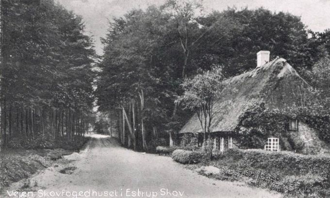 Jeg har fået et meget flot billede af Skovløberhuset ved Estrup Skov som jeg synes skal med her og et link til det.
Jeg hører også at Niels Hansen Jacobsen hus, Hytten, (født 10. september 1861 i Vejen, død 26. november 1941. har fået nyt tag. Det var da en glædelig ting.
Susanne Storm.
Jeg boede i huset fra 1998- 2001. Et skønt lille hus, men der var ingen isolering, da det var delvist fredet. Så det var koldt om vinteren. Fantastisk at bo i skoven.