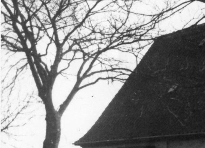Tre fantastiske nye  billeder fra Vejen Arkiv af Hans og Else Drewsens nybyggede hus på Askovvej nummer 27.
Her kan man se egetræerne der i starten af 1940erne var som en alle` fra Allegade op til  Peterminde  vejen.
Og som jeg husker blev fjernet i starten af 1950erne, til stor sorg for mig. De fejlede ikke noget. 
De to vinduer i højre hjørne var deres køkken, og vinduet til venstre var der hvor familien spillede på deres musikinstrumenter. Svend Drewsen spille kontrabas, og hver år hvor der var musiktræf i Askov på Højskolen kom han fra Fyn hvor han boede og spillede med i de dage der var musik på programmet.