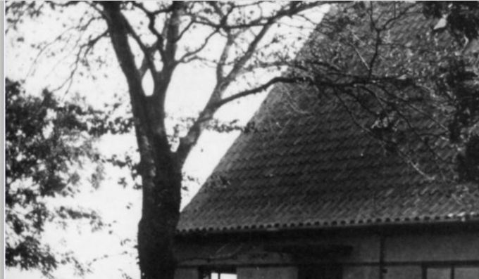 Et flot billede af det nybyggede hus  nummer 27 på Askovvej.
Jeg tror ikke engang at Hans og Else Drewsen er flyttet ind i det endnu.
Og have beplantningen er der heller ikke startet på endnu.
Det var på det tidspunkt moderne at indmure sten i husets sokkel.
Dengang var Vejen en cykel by, der var ikke ret meget trafik på Askovvej. Mælkehandler Hynkemejer fra Askov, var den første med bil som kom på Askovvej.
Hvem den lille hund tilhører ved jeg ikke..
Fortov og vej var der heller ikke på Askovvej dengang i 1930verne.