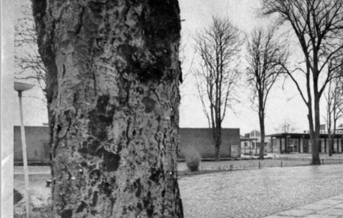 Et nyt billede fra Askov.
Hvor Bager Jessens butik stadig er der helt til højre.
Bager Jessens butik Christian Jessen 26.9 1912 - 17.4 1980 Jensine Jessen 31.10. 1915 - 10.3. 1992 bagerforretningen og Cafe, den hvide bygning, som jeg tit har været inde og købe en is eller kager til søndagskaffen.
 Og  Det hvide Hus  fra 1907.
Tegnet af Frederik Appel  1884-1962  for fotograf Karl Kristensen. Han havde Atelier på Maltvej og vandt en stor sum penge i klasselotteriet, så han kunne bygge det hvide hus. Omkring 1874 byggede fotograf Karl Jørgensen  Nørreled  på Maltvej. nr. 10.
I fotoatelieret ovenpå med et stort vindue på den østvendte kvist   er mange Askovitter blevet fotograferet.
Karl Jørgensen flyttede i 1895 til Holsted og blev afløst af Karl Kristensen  der i 1907 flyttede ind i Det hvide Hus på Torvet 10-12. Dengang kostede et frimærke 15 øre i 1951. Og til højre for Det hvide hus er det Askov Møbelsnedkeri.
 Og midt i billedet er den nye  Askov Brugs.