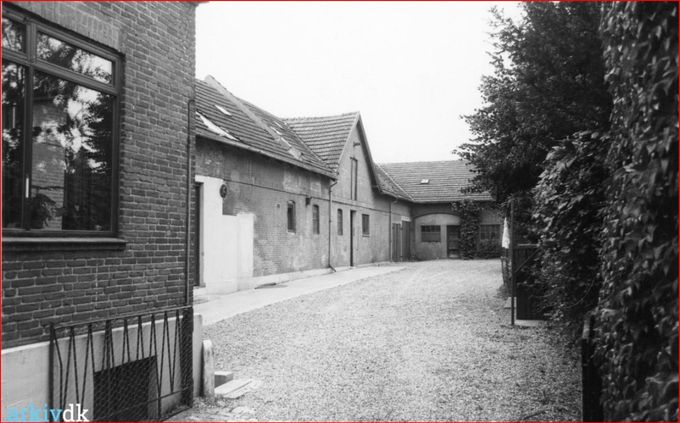 Jens skriver.
Ole E. Christiansen, Krigen der aldrig kom. (John i bogen) boede i Bryggergade 10. ovenpå. I underetagen boede Gudmund Jensen.
Bryggeriet lå i bygningen bagved. Denne bygning er Nørregade 43 hvor Vejen Mineralvandfabrik var. Senere havde Eldorado akvariefisk der.
Majbritt og Klaus havde i en årerække dyrehandel ved Nørregade lige ved Bryggergade. Klaus kørte i fast pendulfart til Tyskland for at hente akvariefisk til Jala i Bryggergade.
Anders Lausen.
Dyrehandlen som Klaus og Majbritt havde lå så vidt jeg husker det i Nørregade 67. Akvariefiskene blev hentet i lufthavnen i Billund, København eller Hamborg. De kom fra blandt andet Israel og Singapore. Udover akvariefisk solgte Jala Tropefisk også udendørs bassin fisk til hele landet.