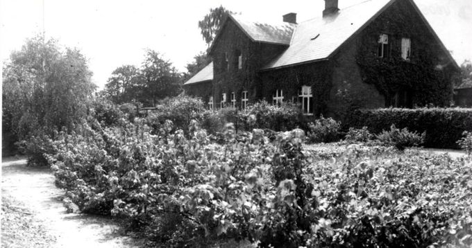 Askov var det første hus  læge Haugs flyttede ind i.
Skolelæge Læge Johan Kr. Heuch 1941, hus i Askov. Senere flyttede han til Søndergade, ved siden af Bakkely Skole. Huset i Askov er nedrevet. Der var altid idyl på billederne dengang i starten af 1940erne.
Ja, Læge Heuch var først læge senere Skolelæge.
Han og hans kone boede først i Askov i et hus der ikke er der mere, senere flyttede de til Søndergade 34  ved siden af Bakkely skole, og derefter byggede de et ret moderne hus på Askovvej Nr. 16. opført i 1955 . 
I.C. Heuch skrev to små bøger der kan lånes på Biblioteket, den ene hedder Folk fortæller anekdoter om Originaler i Vejen.
Kirsten Ilsøe van Oosterhout.
Jeg husker ham så tydeligt.
Først som skolelæge i et lille lokale skråt overfor biblioteket.
Jeg tror faktisk det var i en slags kælder.
Han gav et fint æble til alle børn med 