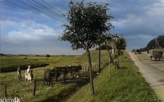 Postkort af Koldingvej i Vejen.
......
Det er ikke til at se det hvis man ikke lige ved det. Men det er Koldingvej uden asfaltering.
Jeg ved ikke årstallet på det desværre.
Ja, det var en hel anden tid dengang.
Harald Aude.
Billedet må være fra o. 1930'erne. Bilerne og damernes klokkehatte passer på den tids mode. Og brolægning var noget som nok ikke kom før omkring den tid på de store veje, måske bortset fra de sjællandske ,,kongeveje