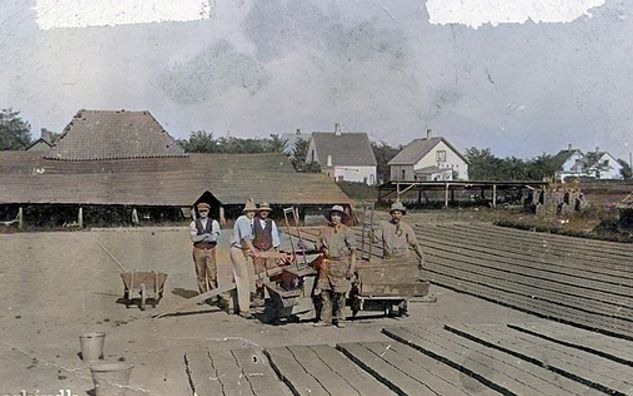 Askovvejens teglværk, omk. 1908
,,,,,,,,,,,,,,,,
Husene bagved er Gunnersvej, med min Onkel og Tantes Christian og Kaja Rasmussen hvide hus med gavlen ud mod marken. Der efter Teglværket lukkede blev til Gaardejer Holger Engelbret-Petersen mark, op mod Askovvej.
Det er nyt for mig at brødrene Holger og Gunner Pedersen var med i arbejdet på Mergelgraven. Holger Pedersens gård lå ved siden af Brejdablik, og Gunner Pedersen der var tømrer, hans hus lå på Askovvej nr. 17 tæt ved Gunnersvej.
Der står.
For bedre at kunne udnytte regnvejrsdagene og måske forlænge sæsonen noget blev der bygget et hus med hylder. Så strøg en mand sten indendørs med en form til kun to sten. Stenene blev strøget på et kort bræt, som så blev lagt på en hylde. Det blev ekstra fine sten, som da også blev brugt til særlige bygninger. Således til billedhugger Hansen-Jacobsens museum i Skibelund. Jeg havde det hverv at køre stenene dertil - en fin tjans, 3 kilometer i roligt tempo i modsætning til nærliggende byggepladser, hvor man hurtigt skulle læsse på og af. Hansen-Jacobsen fik i øvrigt tit brændt keramik i ovnen. Engang fik han brændt en stor kirke, omgivet af brændte vægge, han selv havde fremstillet. Den fortrængte en del mursten, men min far ville gerne støtte kunsten. Resultatet var strålende, og i sin begejstring gav Hansen-Jacobsen min broder Holger, som kom med kirken på en vogn, 50 øre og en sodavand!
Jeg tror at de fik mergel fra Askov ved Epoke. Og Søen i Anlægget  var i tidernes morgen, en mergelgrav. Som man omdannede til det den er i dag. Der var også Københoved Mergelleje. 
Der har i gammel tid været utrolig mange Mergellejer i og omkring Vejen.
Mergelgrav, fordybning opstået ved udgravning af mergel, en ler type med stort kalk indhold  som man lavede mursten af.
Peter Junker Iversen.
Mergel er ler med et relativt højt indhold af kalk. Blev anvendt i landbruget til jordforbedring. Bedre udnyttelse af gødning og ændring af jordens surhedsgrad.
Egon Dall Jørgensen.
Der gik mergelbane fra Københoved til Skodborghus, måske videre til Vejen Østermark. Fandt en skinne på vores mark i mine børnedage.
Der gik også en bane forbi Brejdablik  nr. 31. på Askovvej til Askov.