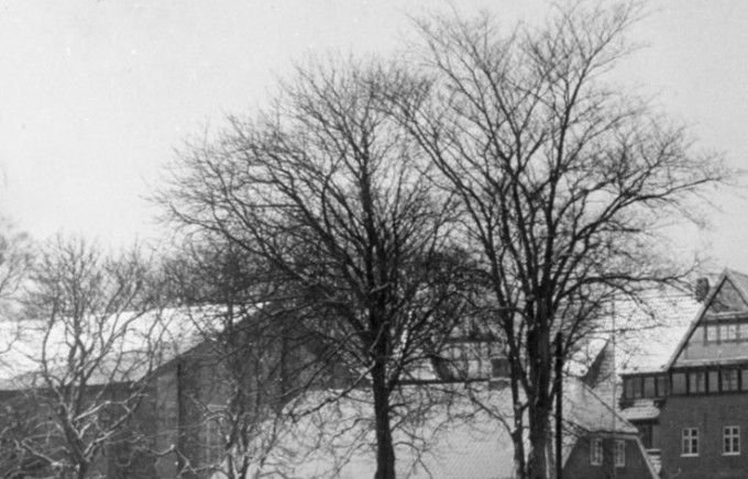 Askov Højskole Vinteren 1957-1958.
,,,,,,,,,,,,,,,,
Jeg har haft mange billeder af dammen i Askov i tidens løb. Det er første gang at jeg har et billede af at den er frossen. I disse så varme tider tror jeg ikke at man ser en isbelagt dam i Askov mere hvor man kan gå på.
Carsten Schøneberg.
 Når der havde sneet så kom min far med fejemaskinen og fejede dammen så vi kunne løbe på skøjter igen.
Der står.
Hvornår de første Askov folk har bosat sig ved dammen, ved vi ikke. Da Henrik Larsen og Søren Alkærsig i 1934 skrev deres bog om Askov, forestillede de sig, at et par bondesønner i vikingetiden er flyttet ud fra Maltbæk. I en rydning ved dammen, der dengang muligvis var en skovsø, har de bygget de første beskedne gårde.
Her var vand, både til kreaturerne og til husholdningen. Forestillingen kan meget vel have noget på sig. Netop i vikingetiden tog landbruget et vældigt opsving. Nye landsbyer blev grundlagt, skov blev ryddet og ny jord taget under dyrkning.
Askov navnet er sikkert kommet i forbindelse med at der var mange asketræer den gang.
