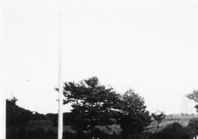 Storke på Vandamgård, Esbjergvej 31, Vejen, omk. 1932 Storken spankulerer rundt i haven.